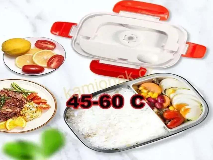 Ohřívací box na jídlo 12/24/220V