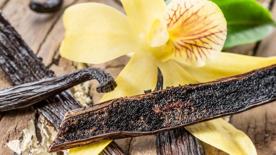 Poppy stromeček - VANILLA