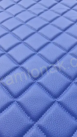 Výplně dveří DAF 106